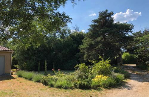 Le Grès 313 - Photo 35