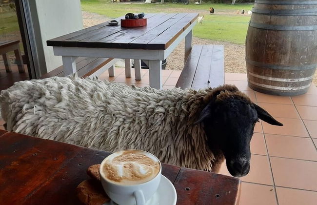 Groeneweide - Foto 42