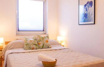 Blick auf die Sachsenhöhe - Foto 7