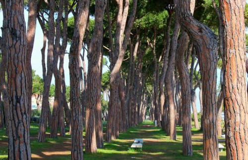 Lady 2 - Pineto Vacanza - Foto 11