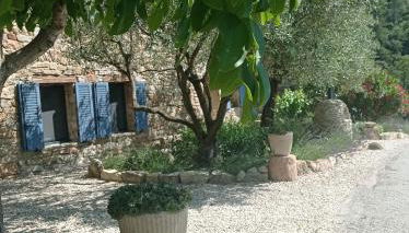 Le Mas des oliviers - Foto 2