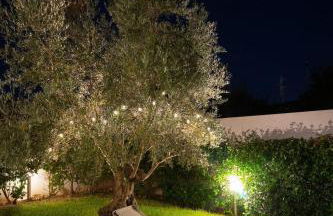 Sardinian Rhapsody - Photo 1