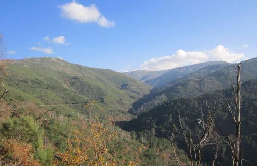 Casa Ferreira - Foto 47