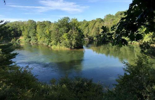 Beautiful Cottage Nestled Amidst Trees in Wellston, Michigan - Foto 5