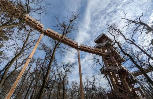 Maisonette in Taunus with Terrace & Trails - Photo 64