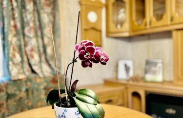 Holenderek Agro-Stajnia - Foto 3