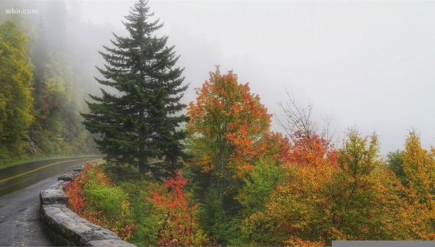 Perfect Location Ping Pong Foosball Fireplace - Foto 3, Habitación