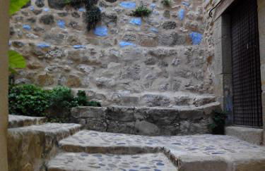 La caseta de Pedris - Foto 53