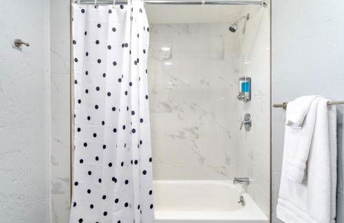 Desert Oasis - Firepit, Stargazing, Kitchen Essentials, 5 Acres, & Joshua Trees - Sleeps 6 Comfortably, 7 with Sofa, 8 Maximum - Foto 27