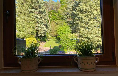 Odenwald Chalet - Foto 24