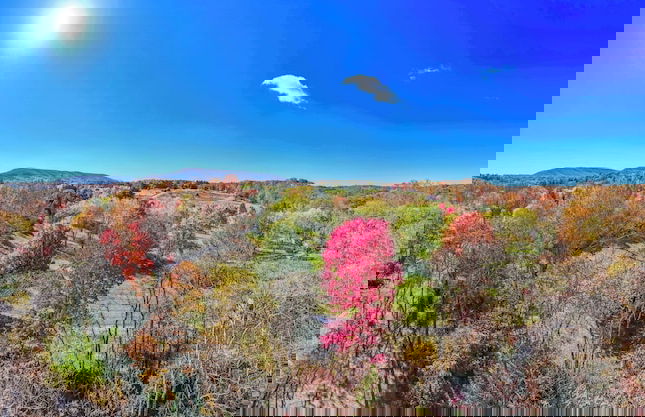 Mariposa Moon Cottage at Sleepy Creek - Foto 47