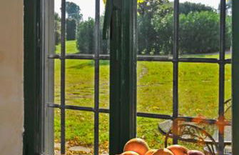 Agriturismo Il Bottaccino - Foto 22