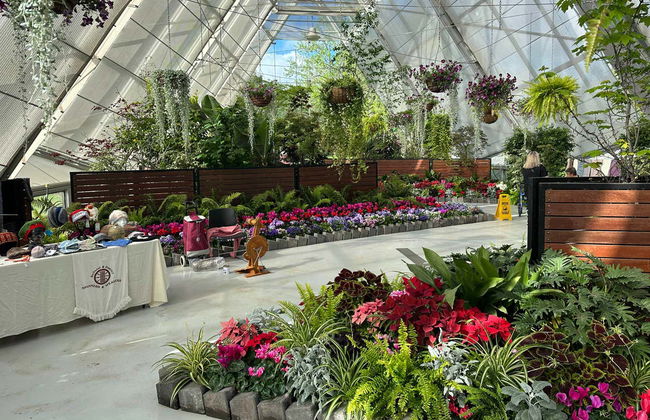 Melbourne Skydeck, Sovereign Hill y Jardín Botánico de Ballarat - Foto 6