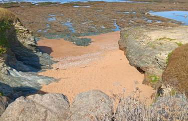 Plage et commerces à pieds ! Gîte Eugène - Foto 13