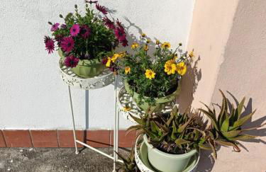 Rox Apartment - 027023-LOC-00174 - Foto 33