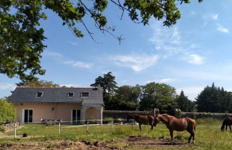 Manoir de L'Aisnerie - Foto 39