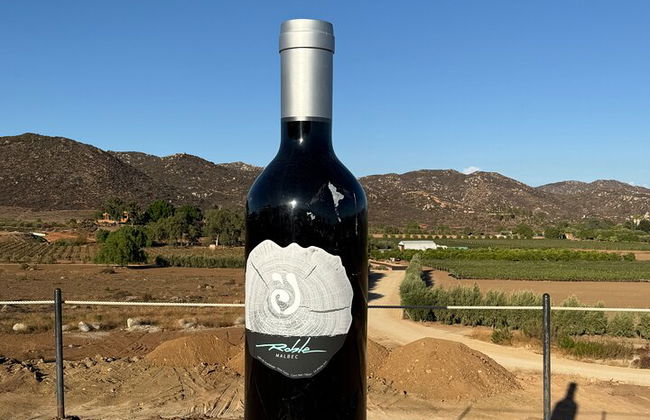 Private Deluxe Wine Tour to Valle de Guadalupe by Luxury Vehicle - Photo 36