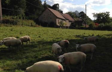 Les Maisons du Bonheur & Balnéo - Photo 78