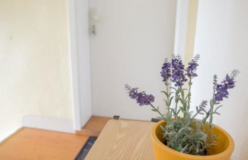 Pension Tokus - Foto 6