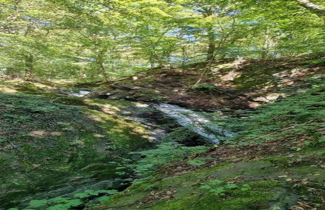 Stylish Retreat in Harz - Foto 35