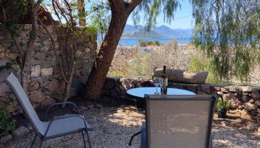 Pepper Tree - Foto 3