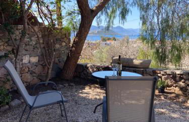 Pepper Tree - Foto 3