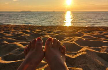 Gites Ferme de la Baie - Foto 66