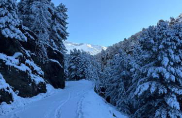 Ary Holiday Home Ski , Bike & Walk - Foto 24