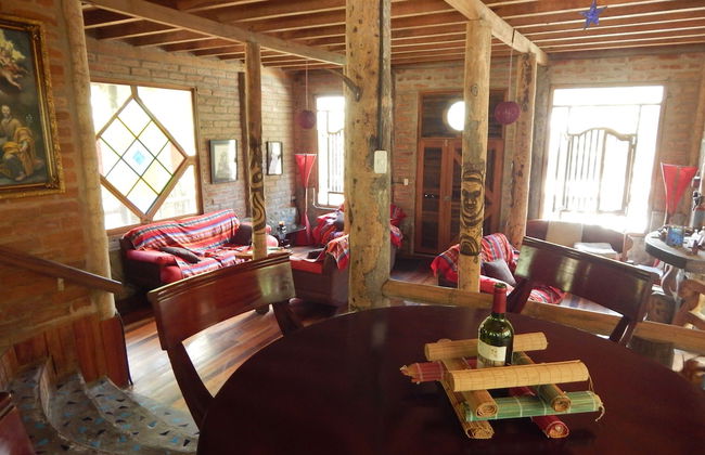 Dogs and Fish Dream Land - Foto 10