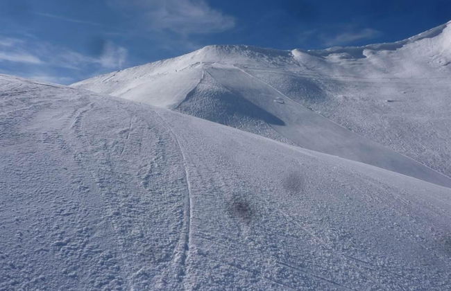 Sumpfbödeli - Foto 14