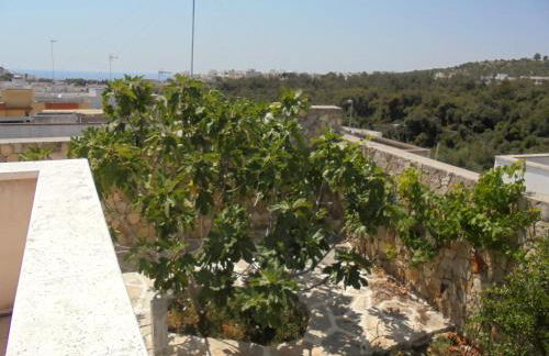 Le Turciane Casavacanze - Foto 27