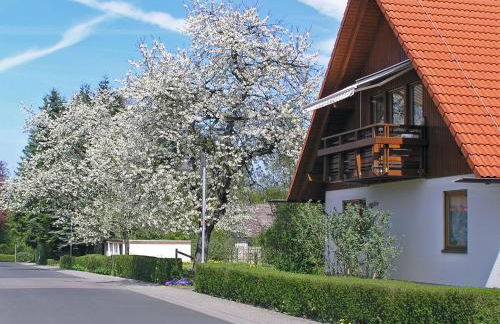 Ferienwohnung Am Schlosspark - Foto 1