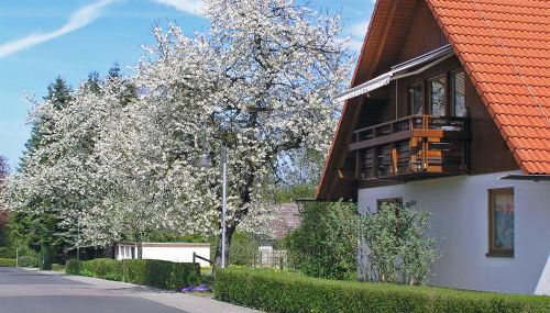 Ferienwohnung Am Schlosspark - Foto 1