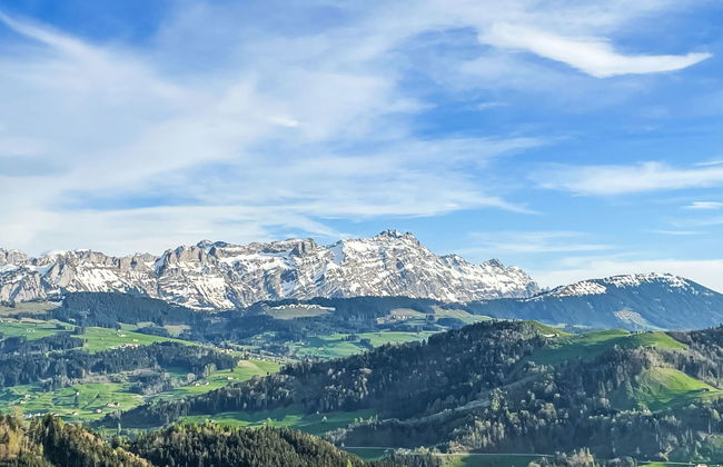 Panoramablick - Foto 4