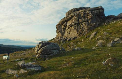 Fox Hat Cottage - Photo 27