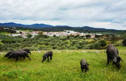 Casa Rural KIN & FUL - Foto 19