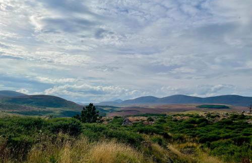 Ceol na Mara - Foto 31