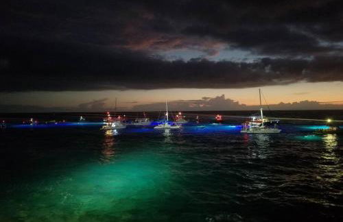 Ohana Beach Retreat at the Surf and Racquet Club - Foto 41