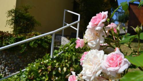 Casa Lanze - Foto 5, Garden