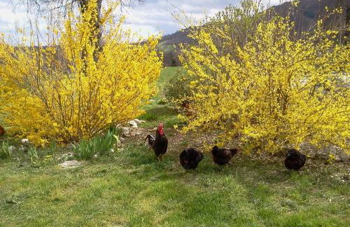 Antica Dimora - Foto 17