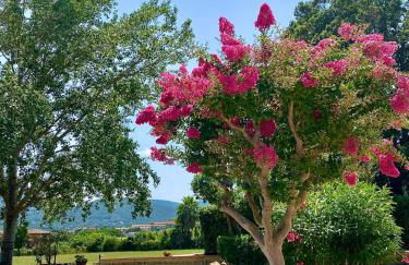 Podere Il Ritorno - Foto 9