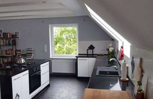 Apartamenty Holiday Slaw jacuzzi bilard - Foto 32