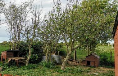 The Nook @ Rowan Tree Cottage - Foto 28