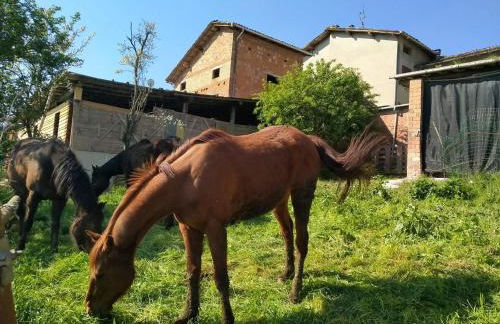 Agriturismo I Locati - Foto 8