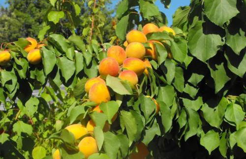 Agriturismo Frallarenza - Foto 44