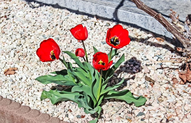 Haus Sailer - Foto 32