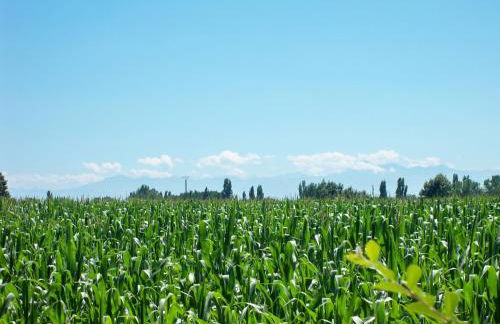 Gite 1, Domaine Logis Gascogne - Photo 28