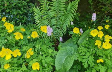 Mayfield Cottage - Foto 41