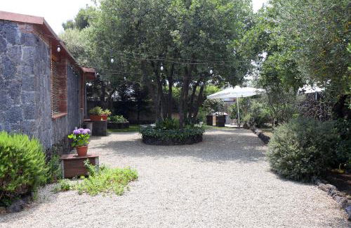 Casa delle foglie - Foto 13