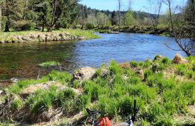 Ferienwohnung Wildgatter - Photo 25